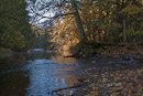 Rötenbach mündet in die Wutach.