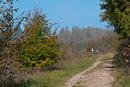 zwischen Räuberschlößle und Schattenmühle