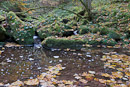 Lotenbachklamm