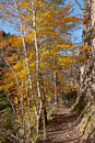 Herbst in der Wutachschlucht