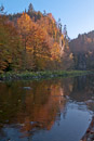 Herbst in der Wutachschlucht