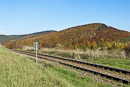 Veronikaberg in herbstlichem Kleid