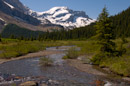 Merlin Meadows