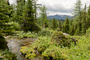 Creek zwischen Rock Isle und Grizzly Lake