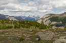 Twin Cairns Meadow