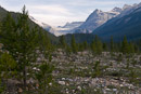 die ersten Schritte ins Yoho Valley