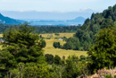 nach dem ersten Anstieg aus dem Weideland, hinten Lago Puyehue