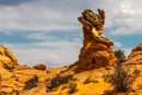 Coyote Buttes South