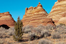 North Teepees