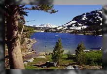 See am Tioga Pass