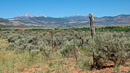 fast zurück in Utah am Hgw. 49, die La Sal Mountains