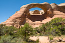 Cedar Tree Arch oder Rainbow Arch