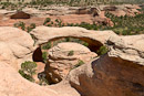 Cedar Tree Arch oder Rainbow Arch