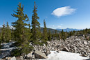 unterhalb der Bristlecone Pine Grove