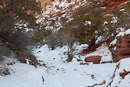 Frost in einem schattigen Canyon