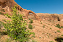 Corona Arch