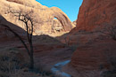 Hinter einer Biegung erscheint plötzlich der Broken Bow Arch.