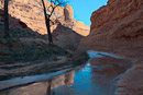 im Coyote Gulch