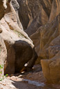 Willis Creek Slotcanyon