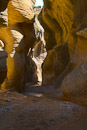 Willis Creek Slotcanyon