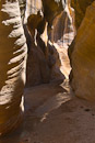 Willis Creek Slotcanyon