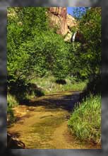 Calf Creek und Lower Calf Creek Falls