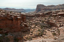 auf dem Rückweg Blick zum Colorado River