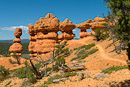 Arches Trail