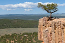 Arches Trail