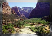 Zion Canyon mit Angels Landing