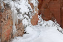 Observation Point Trail