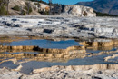 Mammoth Hot Springs