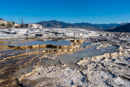 Mammoth Hot Springs