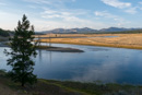 Morgen am Yellowstone River