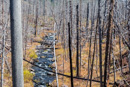 East Fork vom Speciman Creek