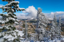 auf Bunsen Peak