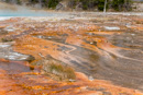 im Lower Geyser Basin