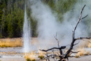 Vixen Geyser