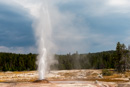 Pink Cone Geyser