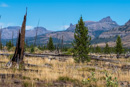 oberes Yellowstone River Tal