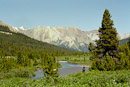 Brazeau River und hinten die White Goat Mountains