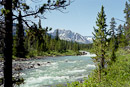 am Brazeau River