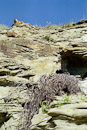 Präriehund am Buffalo Jump