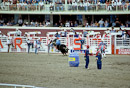 Bullriding