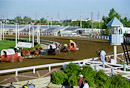 Chuckwagon Race