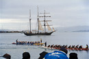 Kanurennen im Hafen von Wellington