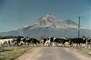 Mount Taranaki