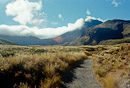 die ersten Meter Richtung Mt. Ngauruhoe