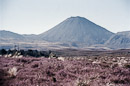 Mount Ngauruhoe