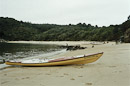 Te Pukatea Bay